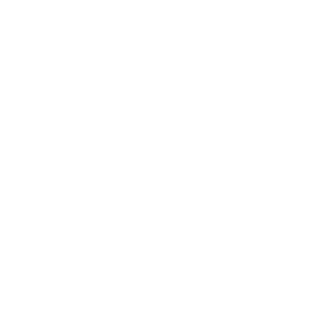 Phát triển kinh doanh icon